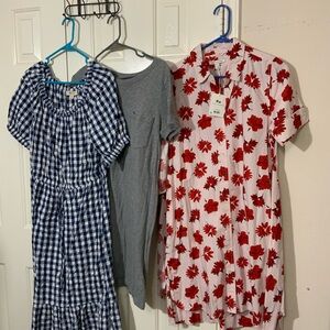 Style&CO Gingham Blue Dress, Time & True Tee, Free Asse Floral Red Dress Bundle